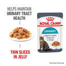 Bild 1 von Royal Canin FCN Urinary Care Jelly 12x85g