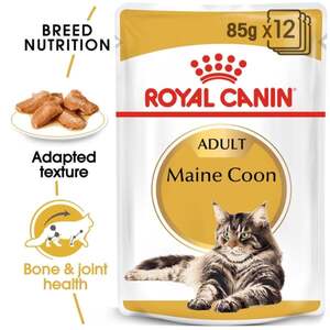 ROYAL CANIN Maine Coon Adult Katzenfutter nass 12x85g