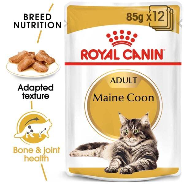 Bild 1 von ROYAL CANIN Maine Coon Adult Katzenfutter nass 12x85g