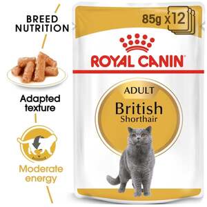 ROYAL CANIN British Shorthair Adult Katzenfutter nass für Britisch Kurzhaar 12x85g