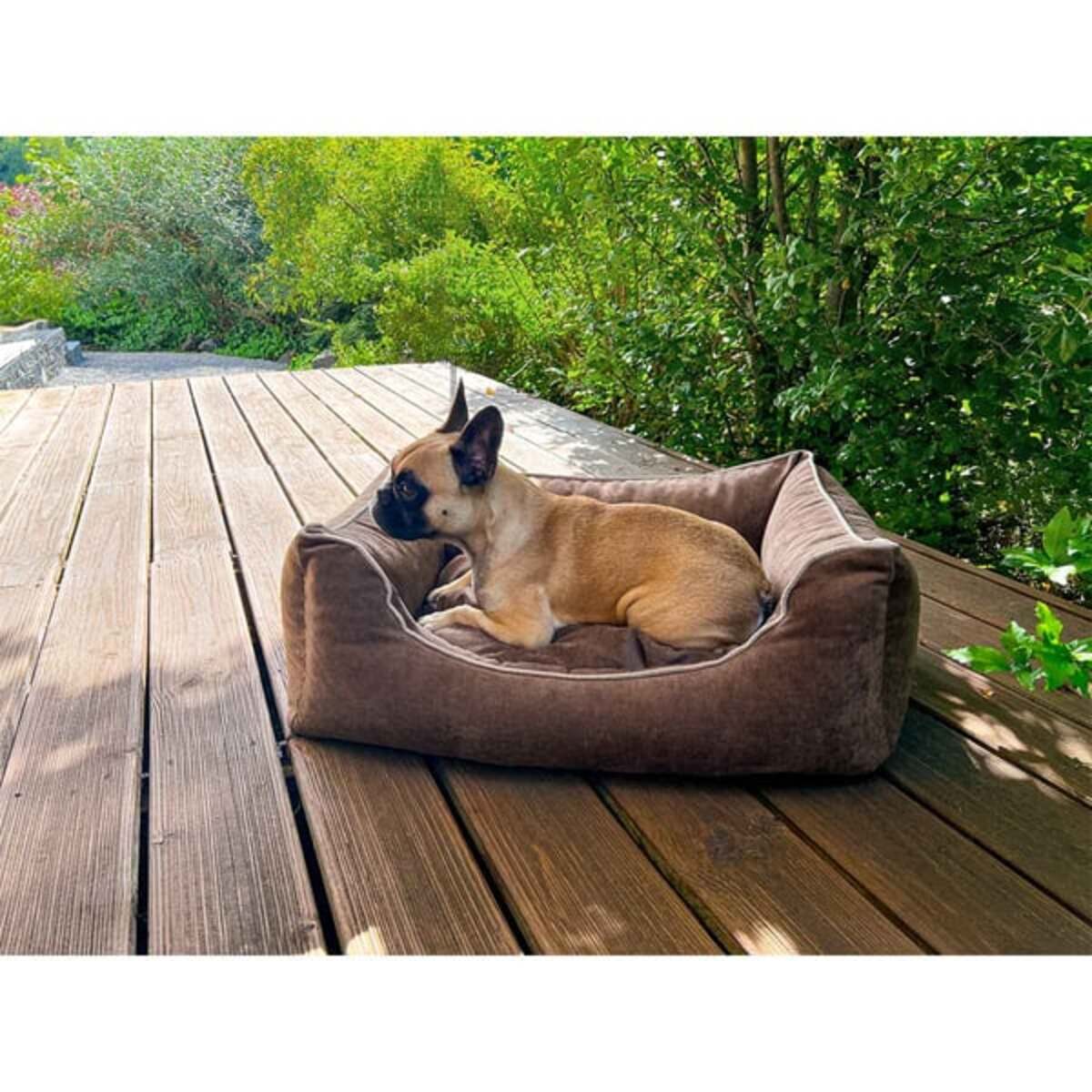 Bild 3 von Aumüller Hundebett Sofa Ortho Line Braun 80x60x30 cm