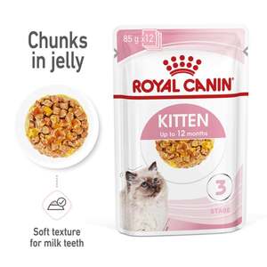 ROYAL CANIN KITTEN Nassfutter in Gelee für Kätzchen 12x85g