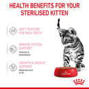 Bild 3 von ROYAL CANIN KITTEN STERILISED in Soße Nassnahrung für kastrierte Kätzchen ab 6 Monaten 12x85g