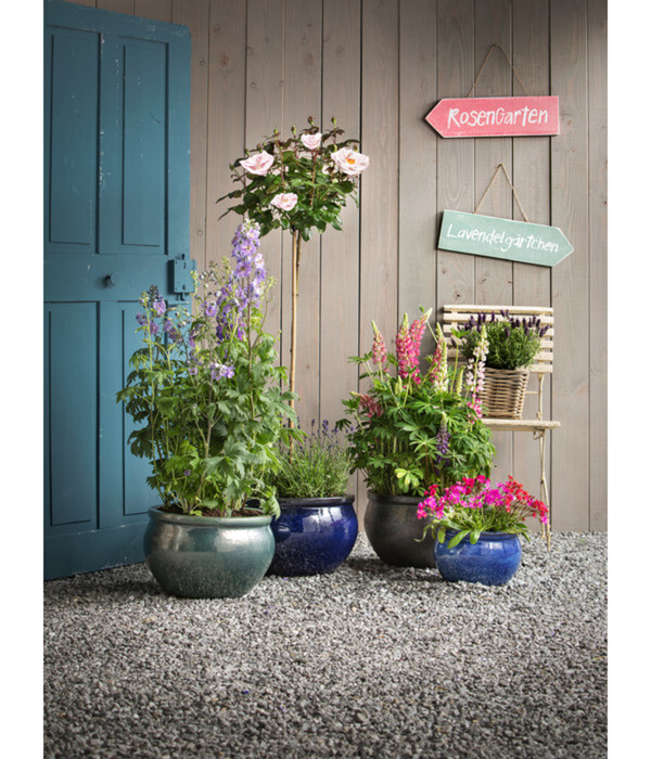 Bild 4 von Dehner Keramik-Topf Bavaria, bauchig