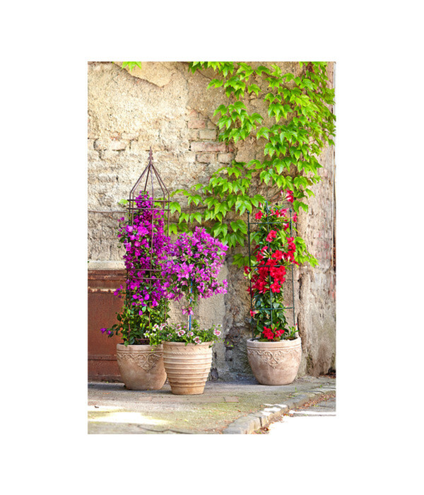 Bild 4 von Terrakotta-Topf Perugia, rund, antik-terrakotta