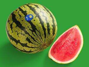 Wassermelone, kernarm