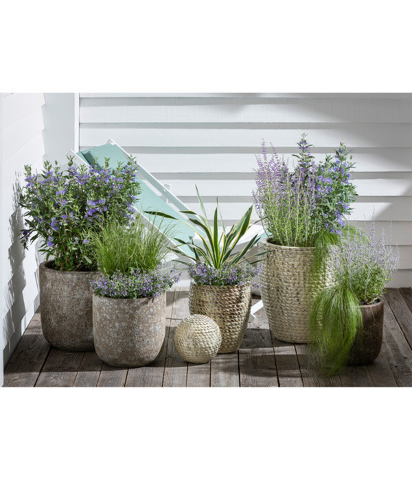 Bild 2 von Dehner Keramik-Topf Bungxe, meliert