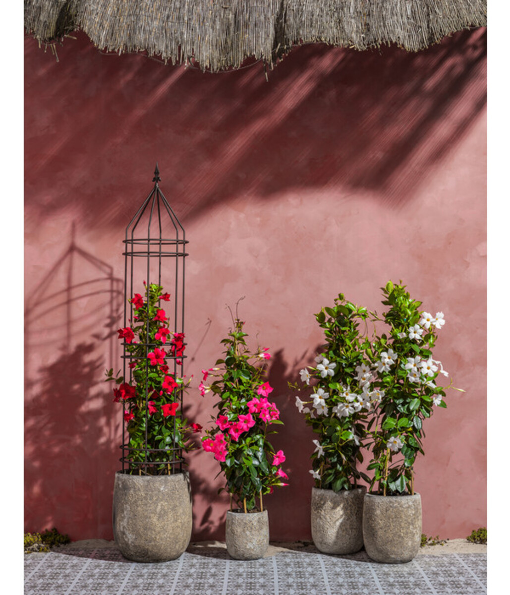 Bild 3 von Dehner Keramik-Topf Bungxe, meliert