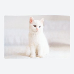 Platz-Set mit Katzen-Motiven, ca. 43,5x28cm, White