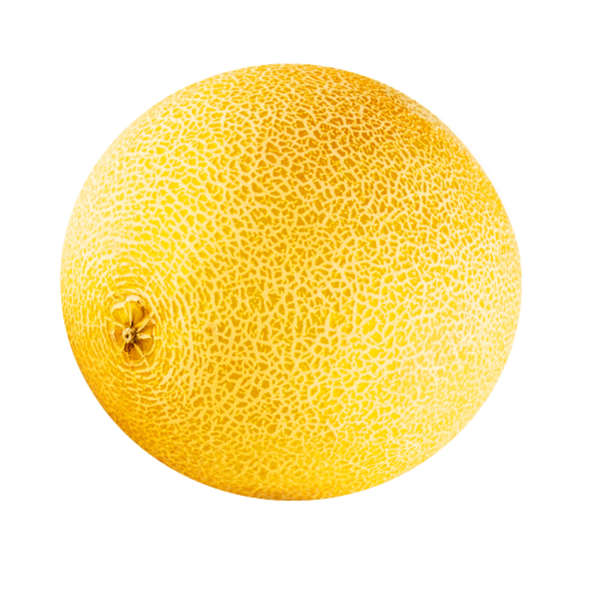 Bild 1 von Galiamelone