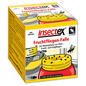 Insectex Fruchtfliegenfalle