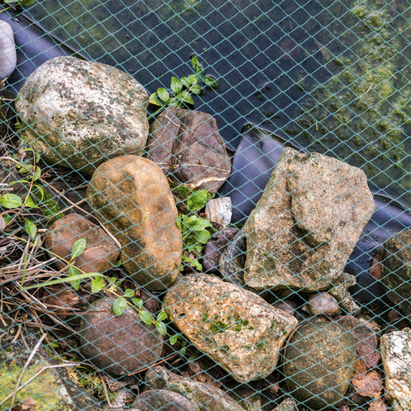 32+ Laubschutznetz Teich, Unter solchen bedingungen sind eine oder