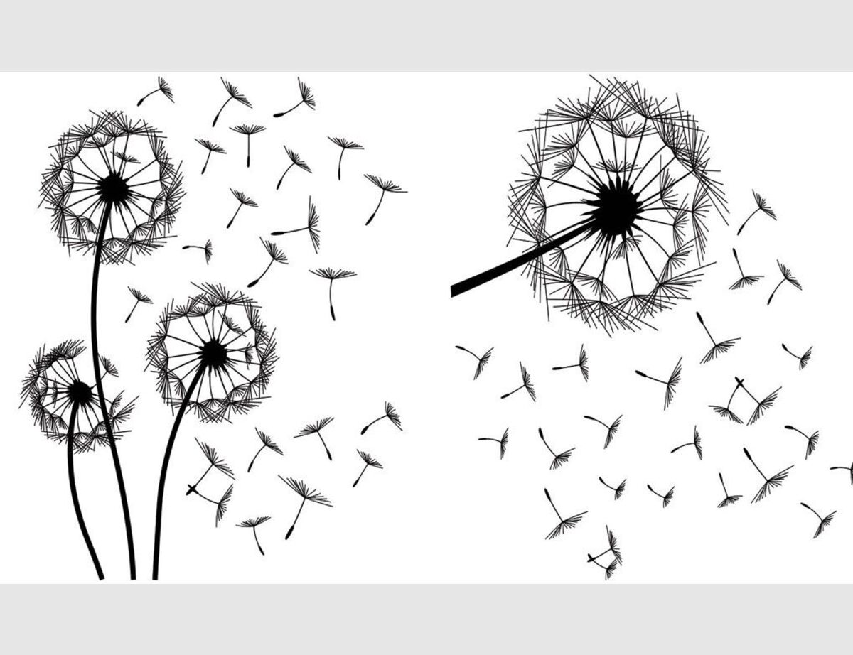 Bild 1 von Wandtattoo Pusteblume 2