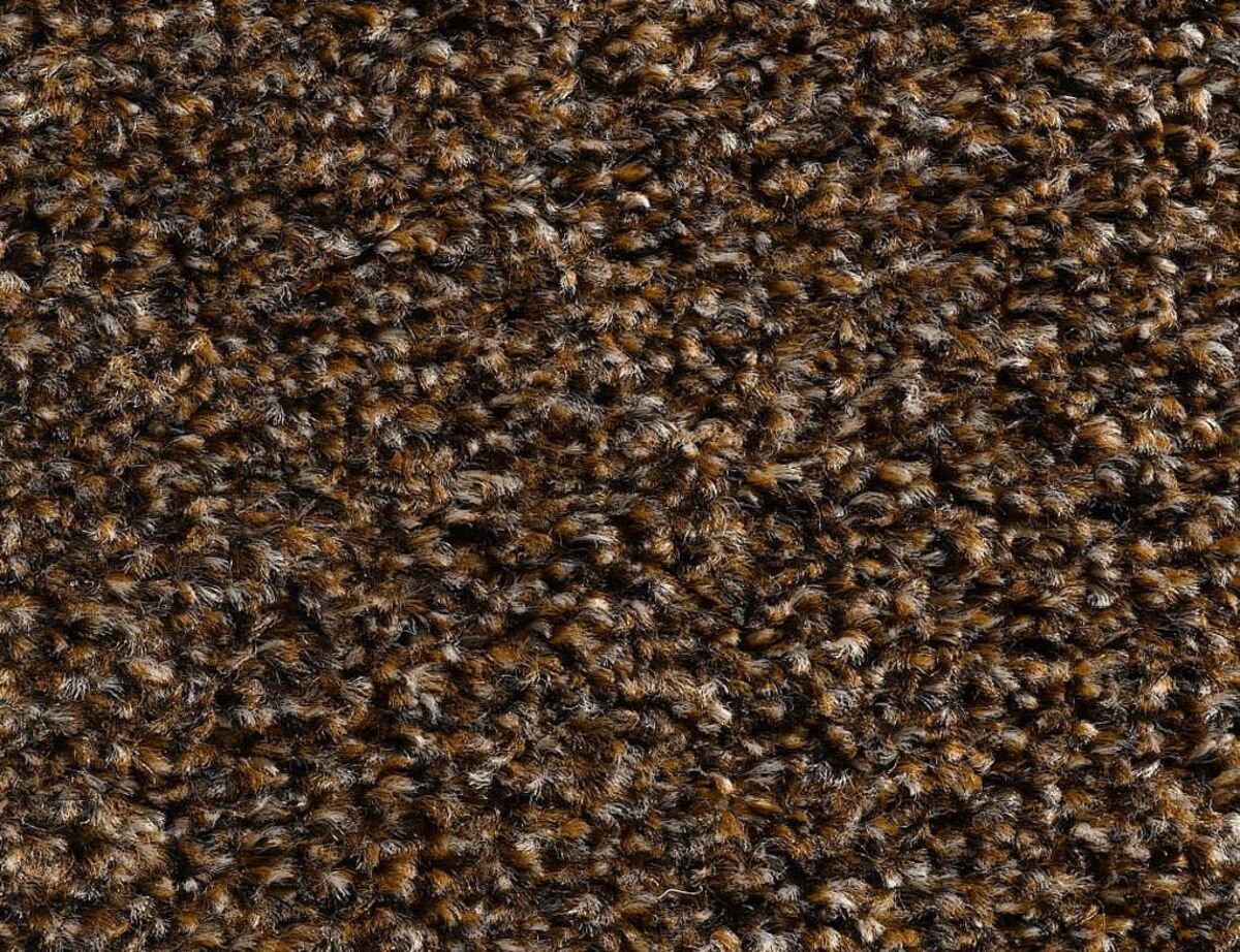 Bild 2 von Schmutzfangläufer Star Braun