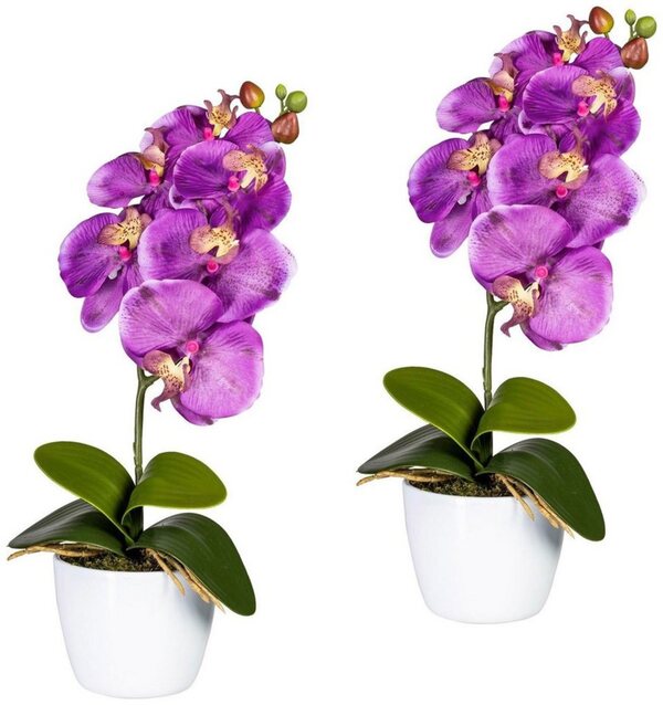 Bild 1 von Kunstpflanze Orchidee Phalaenopsis Orchidee, Creativ green, Höhe 40 cm, im Keramiktopf