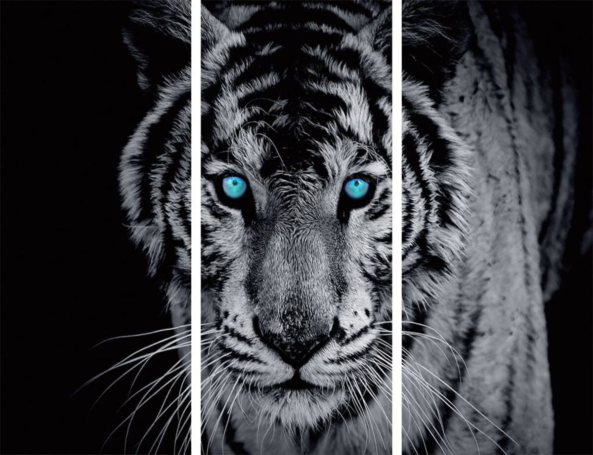 Bild 1 von Wand Deko Tiger