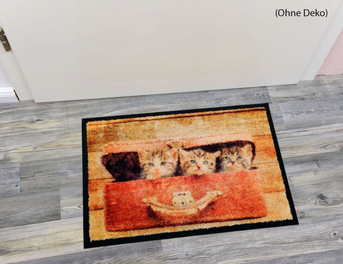 Bild 3 von Schmutzfangmatte Kätzchen