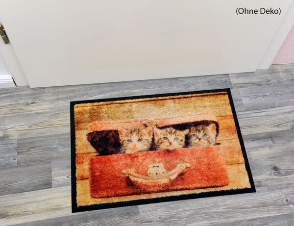 Bild 3 von Schmutzfangmatte Kätzchen