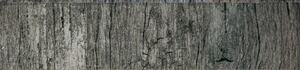 Momastela Sockelleiste Corteccia grigio Feinsteinzeug, grau, 7 x 31 cm