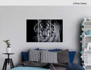 Bild 2 von Wand Deko Tiger