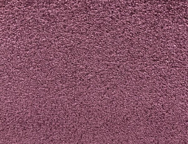 Bild 2 von Teppichboden Dundee Aubergine