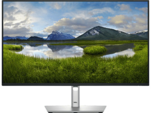 DELL - B2B P Series P2725H 27 Zoll Full-HD Business Monitor (8 ms Reaktionszeit, 100 Hz), Schwarz