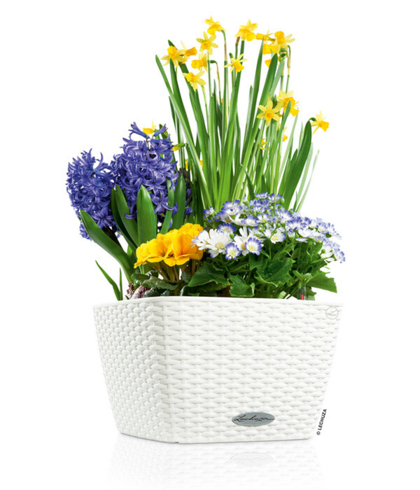 Bild 2 von LECHUZA® Kunststoff-Topf Bacino Cottage inkl. Pflanzeinsatz, konisch, ca. B31/H19,5/T31 cm