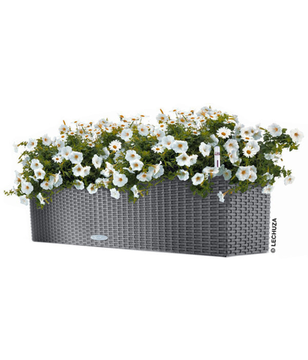 Bild 2 von LECHUZA® Kunststoff-Kasten Balconera Cottage, rechteckig