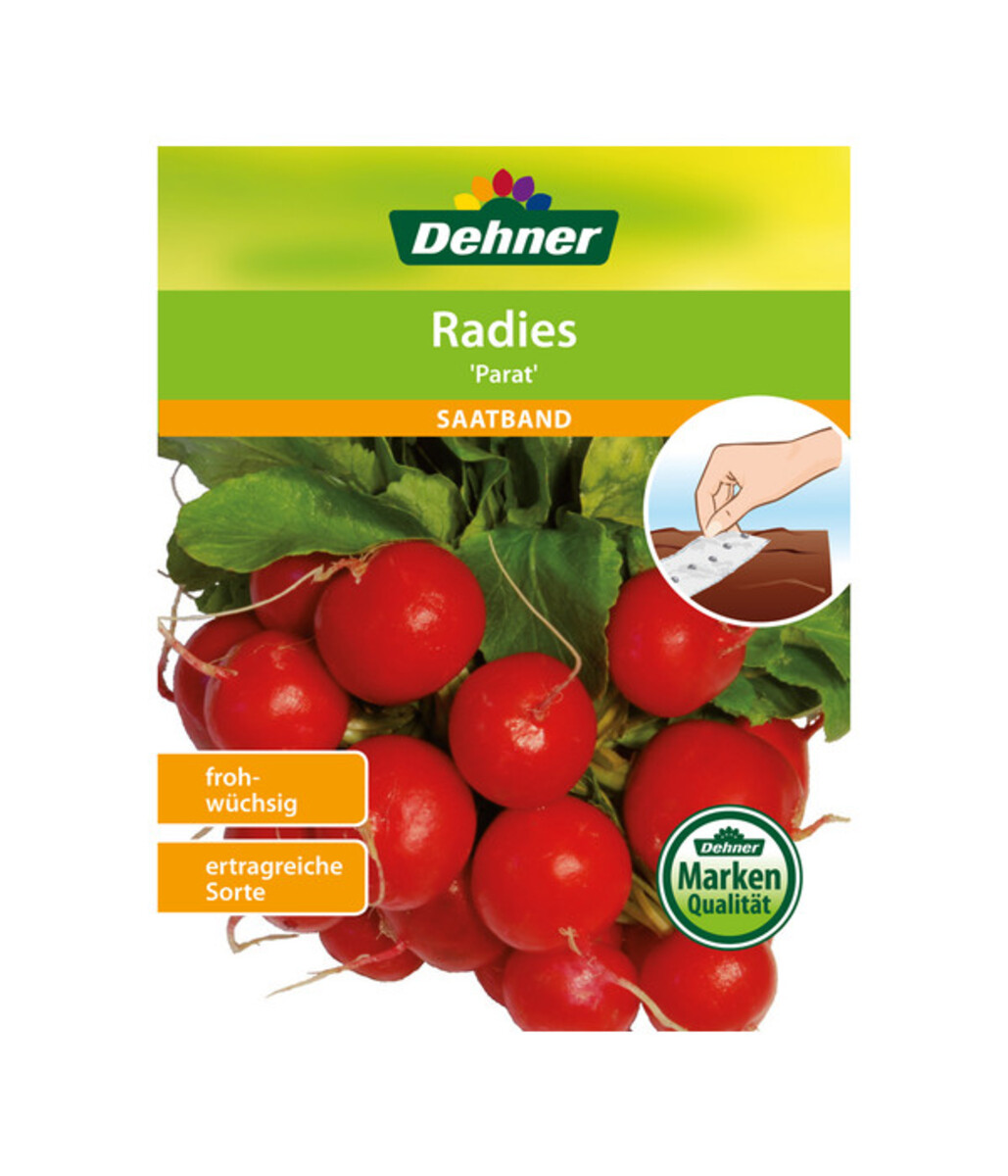Bild 2 von Dehner Samen-Set Easy Going