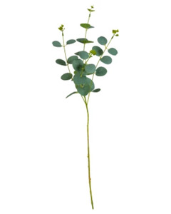 Kunstpflanze Eukalyptus, ca. 60 cm, grün