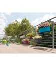 Bild 3 von LECHUZA® Kunststoff-Kasten Balconera Color, rechteckig