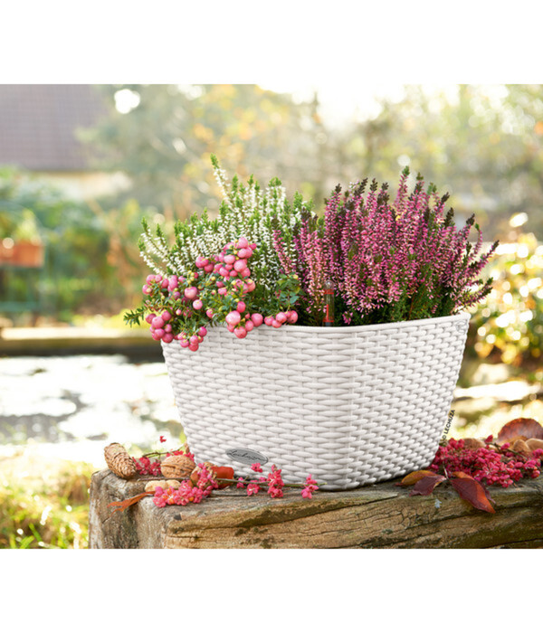 Bild 3 von LECHUZA® Kunststoff-Topf Bacino Cottage inkl. Pflanzeinsatz, konisch, ca. B31/H19,5/T31 cm