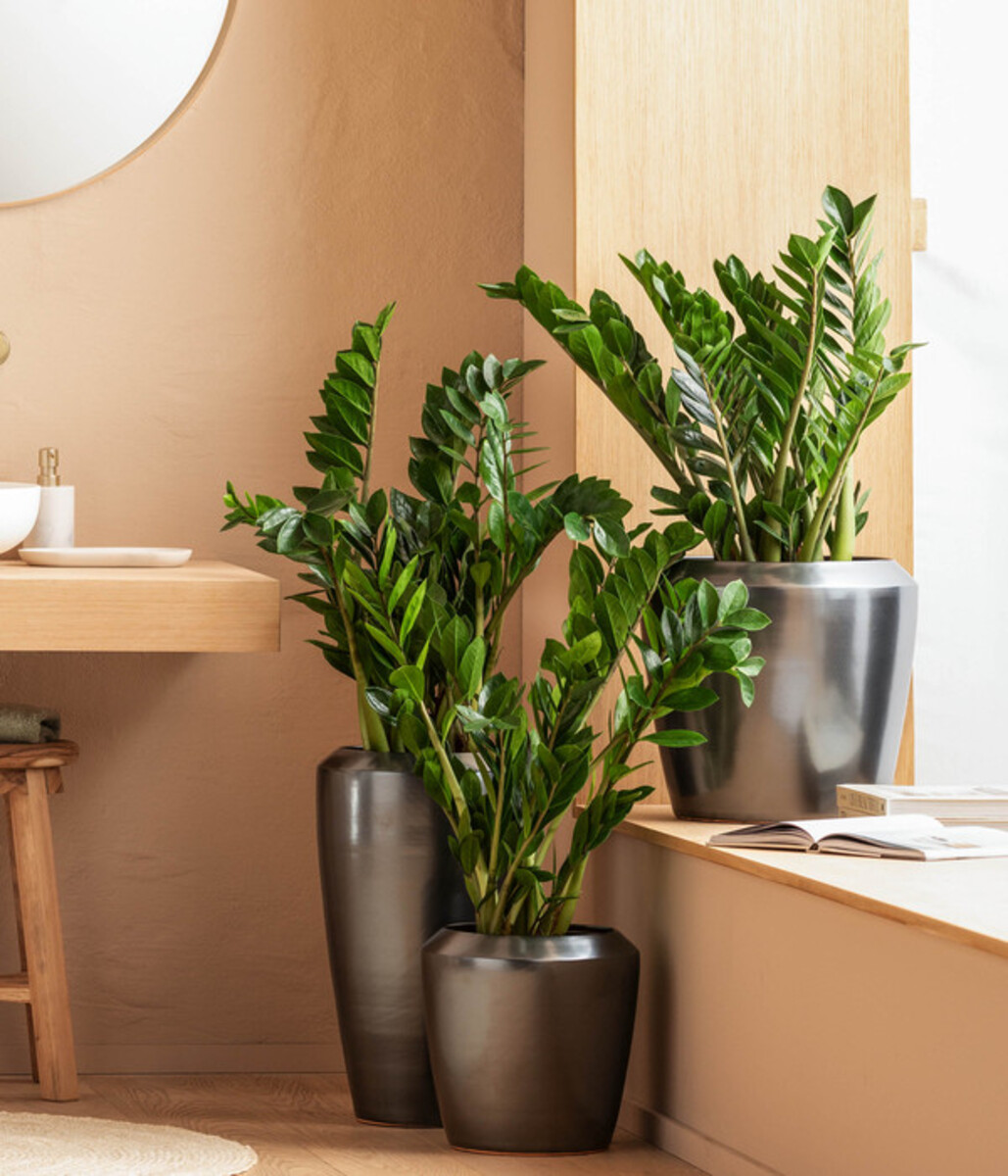 Bild 4 von Dehner Keramik-Vase Lissabon mit LECHUZA® Bewässerungssystem, konisch