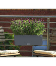 Bild 2 von LECHUZA® Kunststoff-Kasten Balconera Color, rechteckig