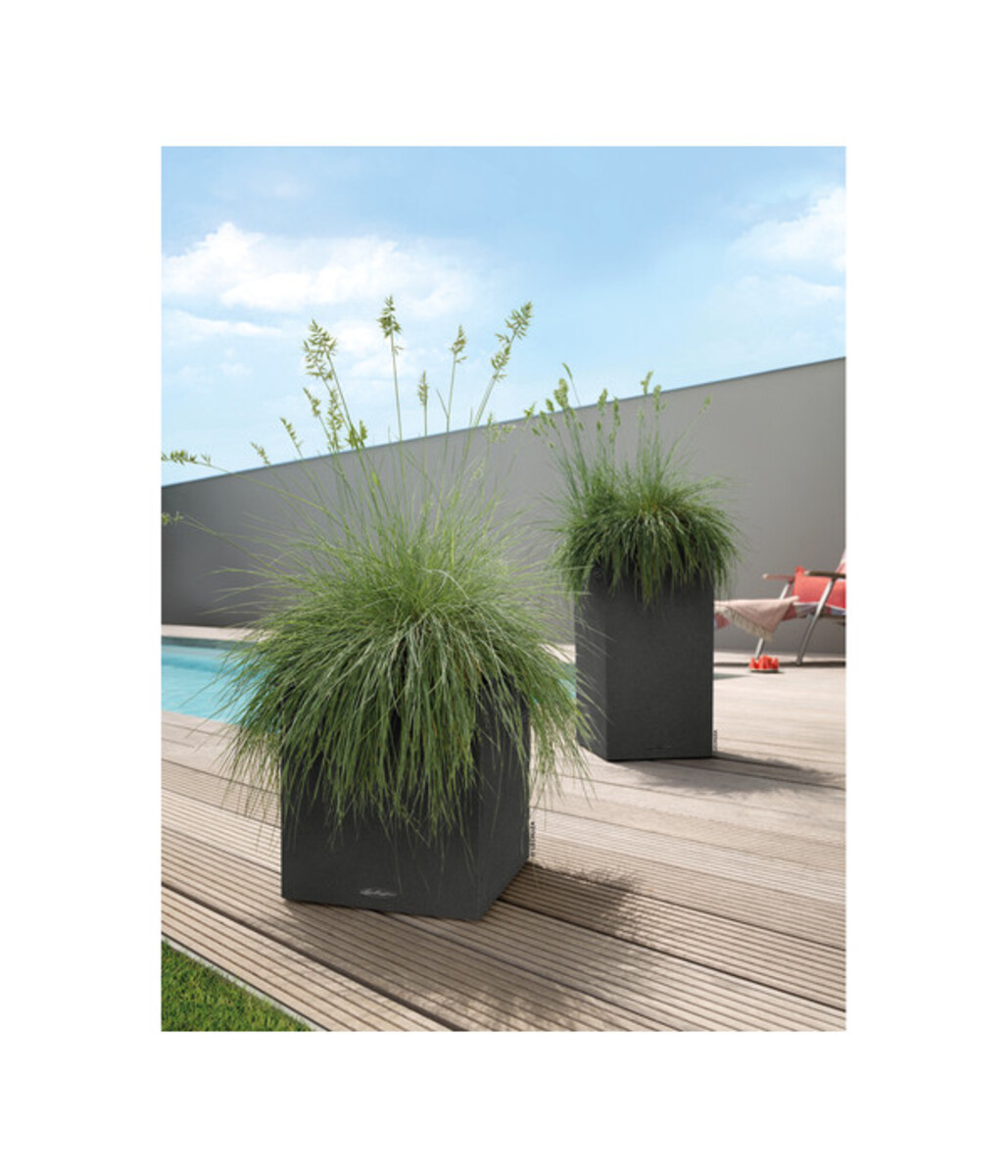 Bild 3 von LECHUZA® Kunststoff-Topf Canto Stone, quadratisch