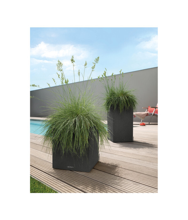 Bild 3 von LECHUZA® Kunststoff-Topf Canto Stone, quadratisch