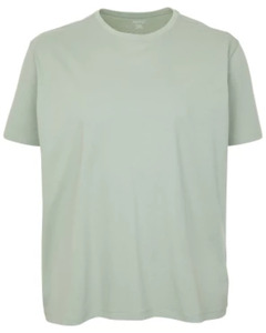 Basic T-Shirt, X-Mail, Rundhalsausschnitt, hellgrün