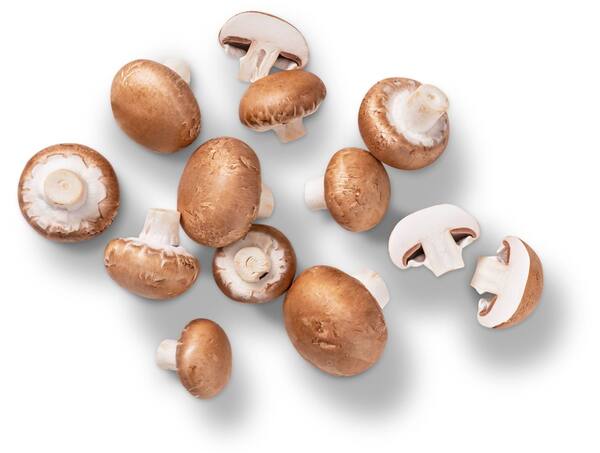 Bild 1 von Bioland dtsch. Champignons, braun, 250-g-Packg.