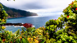 Badereisen Portugal - Madeira: Langzeiturlaub im Hotel Santa Cruz Village