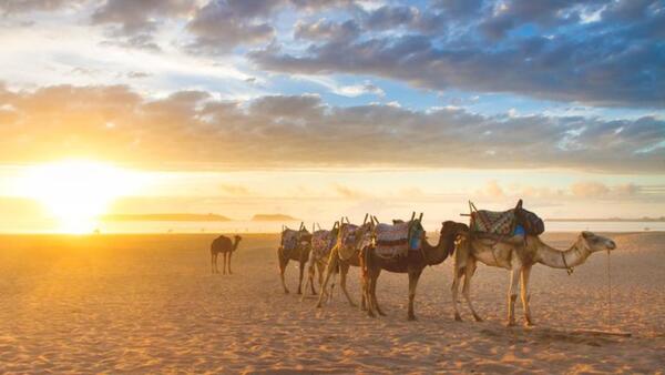 Bild 1 von Rundreisen Marokko: Rundreise ab/an Casablanca