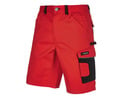 Bild 4 von PARKSIDE® Herren Arbeitsbermudas mit Baumwolle