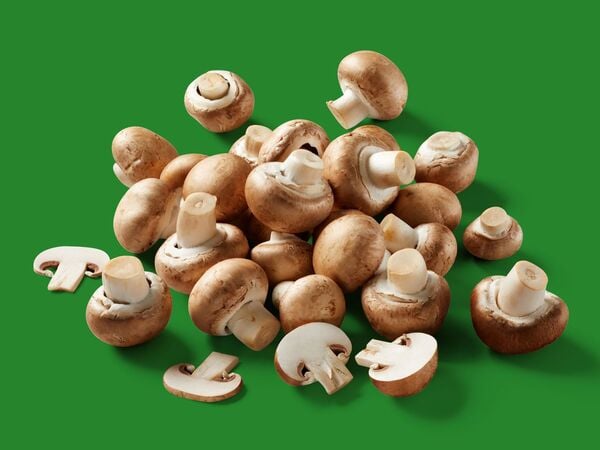 Bild 1 von Braune Bio Kulturchampignons, 
         250 g