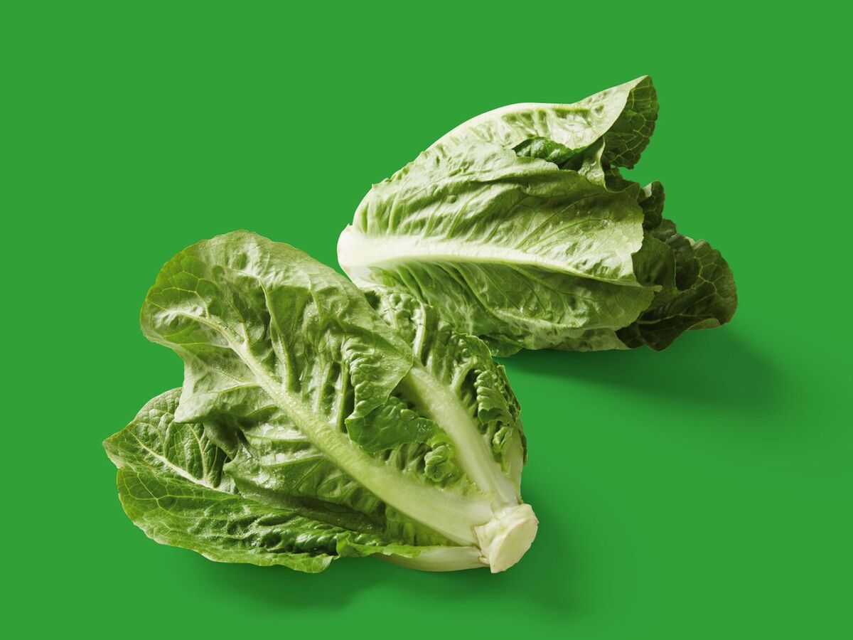Deutscher Mini Romana Salat, 2 Stück von Lidl ansehen!
