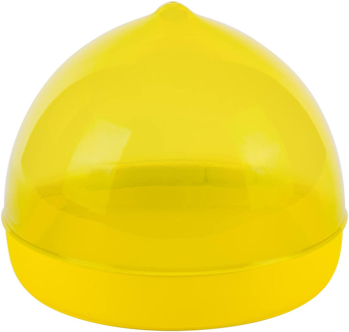 Bild 1 von SPICE&SOUL® Zitronendose