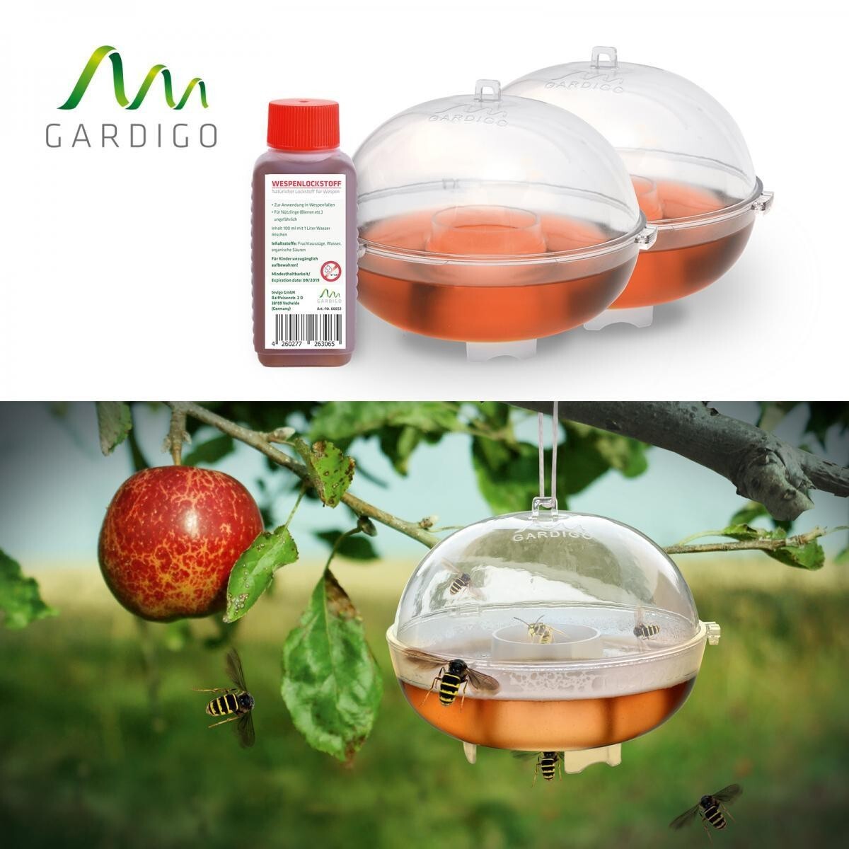 Bild 4 von Wespenfänger mit Lockstoff, 2er Set