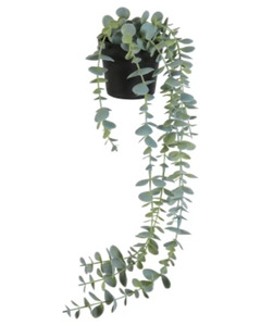 Kunstpflanze Eukalyptus, ca. 12 x 12 x 50 cm, grün