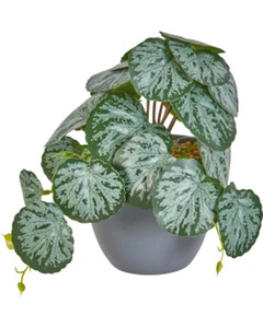 Kunstpflanze Calathea, verschiedene Ausführungen, dunkelgrün