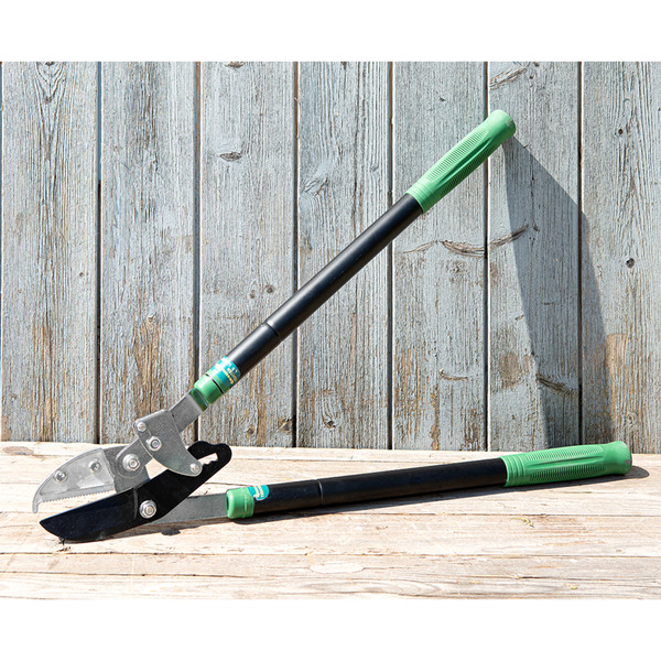 Bild 2 von Teleskop Getriebe-Astschere