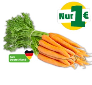 MARKTLIEBE Deutsche Bundmöhren*