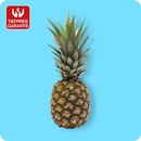 Bild 1 von   Ananas, Ursprung: Costa Rica / Ecuador